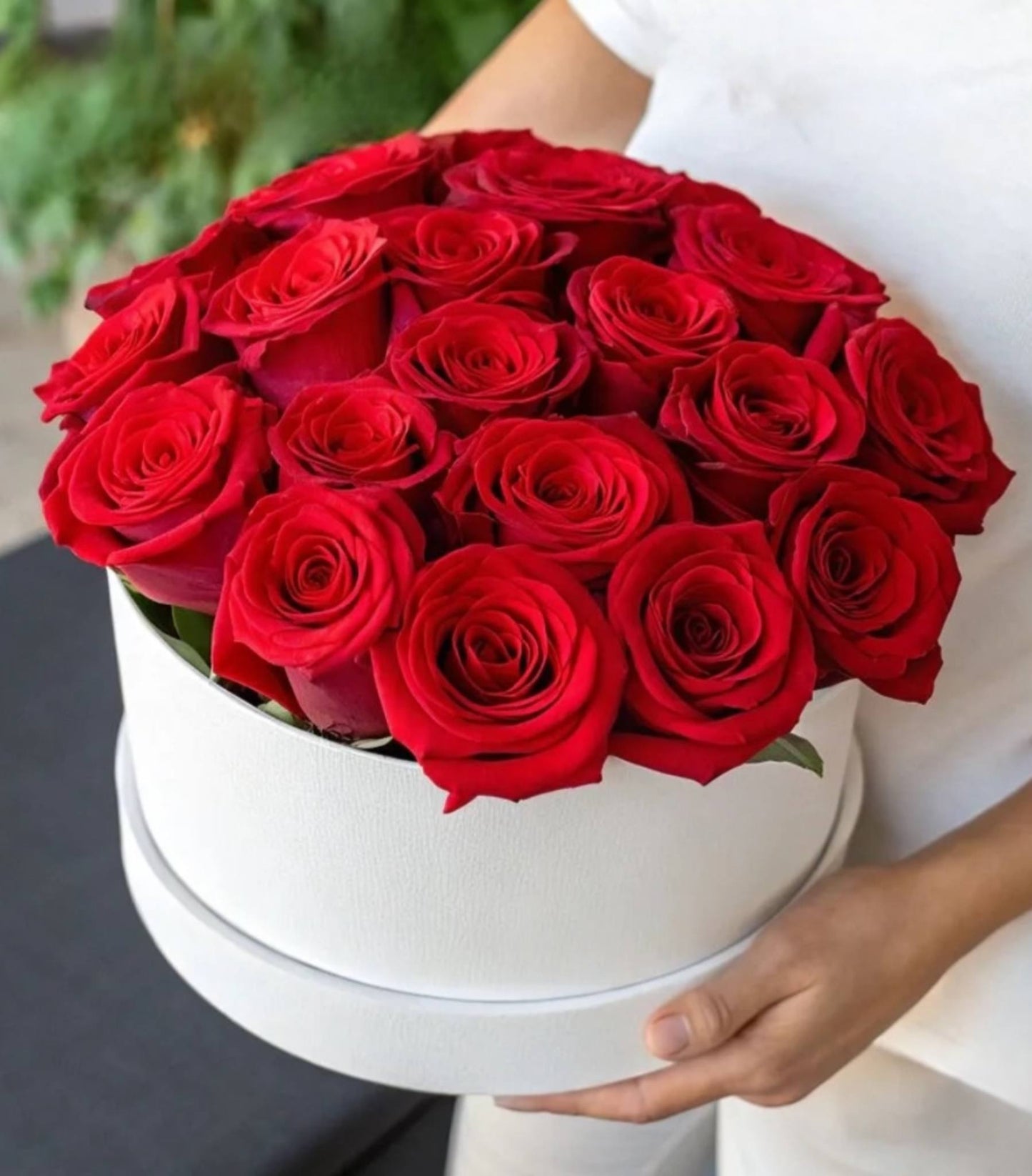 Rosas Rojos
