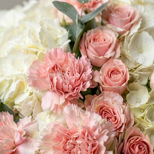 Blush