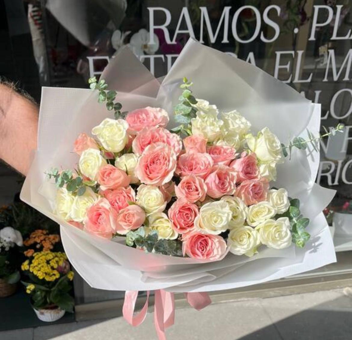 Roses in bloom