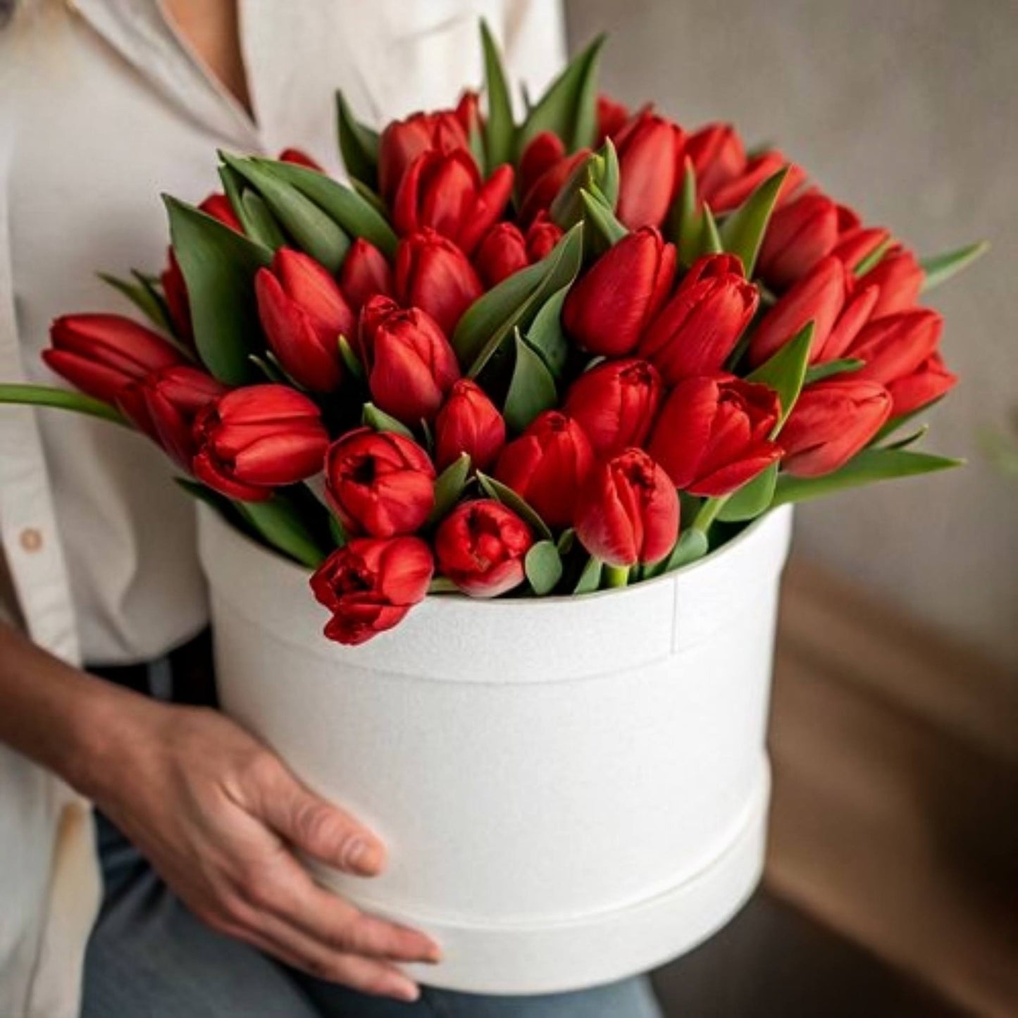 Red Tulips