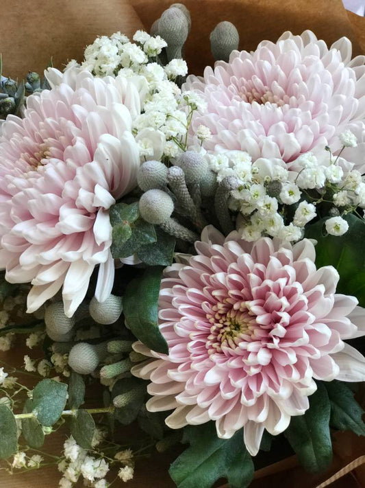 Blush